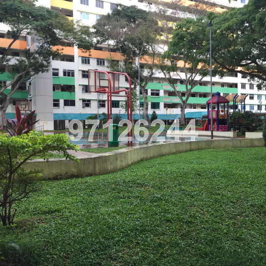 TAMPINES STREET 41 (Tampines), HDB 3 Rooms #35517522
